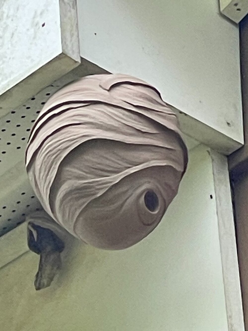 3D Printed Faux Wasp Hornet Nest-New